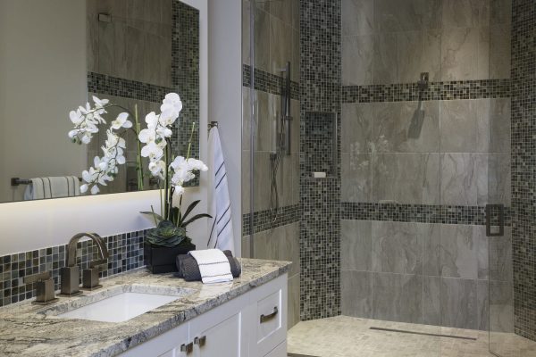 Guest Bath 2