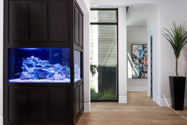 77 Center St Naples FL 34108-large-005-005-Main Fishtank-1369x1000-72dpi